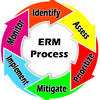 Graphic of the ERM Process described on the page